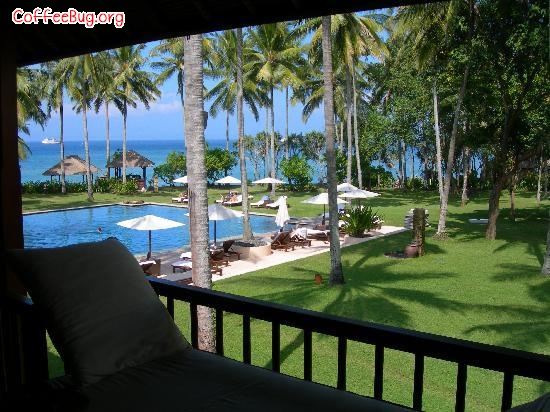 巴厘岛 Alila Manggis——返璞归真
地址：Buitan, Manggis Karangasem 80871, Bali, Indonesia
巴厘岛东边小镇Manggis，与主城库塔(Kuta)及南部旅游重镇努沙度瓦 (Nusa Dua)都没有繁华的购物街，四周所见都是零星小村屋、稻田及树林，沿岸只有数艘渔船出没。
现在还未完全被开发的东区享受着优厚眷顾，缓慢地进行着“不破坏本土环境”的主题旅游事业。驻扎此区的设计旅馆Alila Manggis会给你带来一系列的“体验之旅”。 其中一个远足行程是登上东部山顶，潜入梯田间的一座以竹搭建的小凉亭，品尝爪哇豆磨成的黑咖啡，沾口地道椰子糕点充当幼糖，眺望巴厘岛东岸颜色从梯田茂密丛生的嫩绿渐变成一望无际的澄蓝。回到原始，有股说不出的舒泰油然而生。