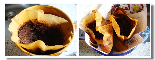 The antioxidant effect of coffee grounds is 500 times that of vitamin C.