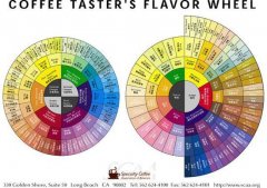 How to distinguish between coffee beans and coffee beans