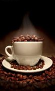 Rules of coffee cup tester competition