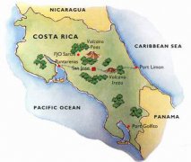 Boutique coffee beans Costa Rican coffee