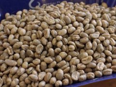 A brief introduction to the grading system of coffee beans in Ethiopia