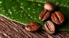 The most direct factor determining whether coffee beans are sour or bitter is the roasting of coffee beans.