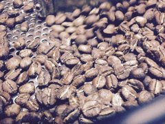 Dry treatment (natural full sun treatment), wet treatment (water washing and fermentation), semi-washing of coffee beans