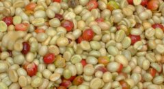 What is the treatment of coffee beans? Sun drying of coffee beans