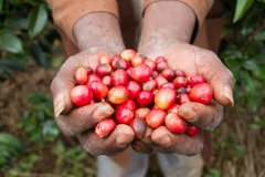 The Origin of espresso the espresso operation of brewing method