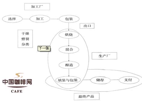 生产及加工咖啡豆的过程