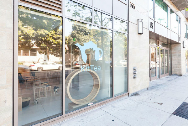 The cat-themed cafe has become a resting place for people's minds.