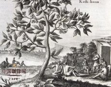 The earliest coffee drink in history the history of coffee along the way