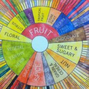 Learning essentials of SCAA Coffee Flavor Wheel the origin of coffee flavor wheel