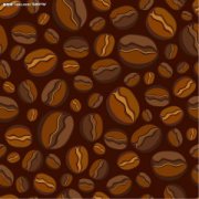 Do you know the 5 best coffee beans to grind?