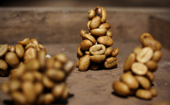 Kopi Luwak Coffee Brand method introduction production method production skills brewing method