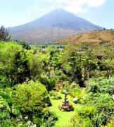What are the coffee producing areas in Guatemala? Where does Guatemalan coffee come from? Guatemalan coffee