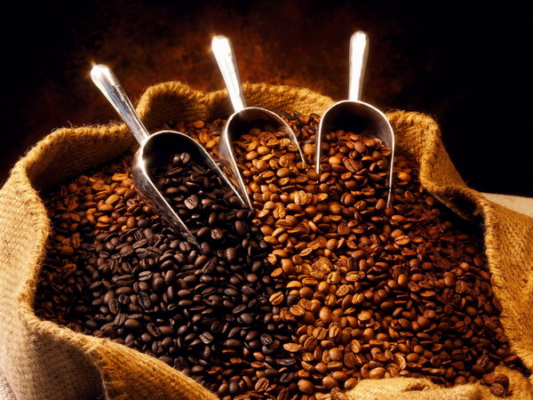 Guatemala Haiti Honduras Jamaica Blue Mountain Coffee Martinique Mexico