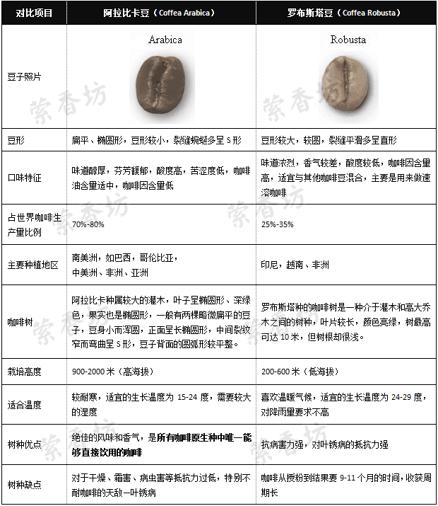 The difference between Arabica and Robusta coffee beans