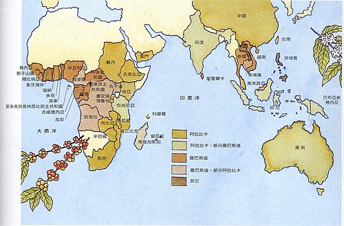 The basic knowledge of Coffee beans the three native species of coffee Robsta species Arabica species Libby