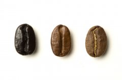 Introduction to coffee bean manning coffee manning coffee taste manning