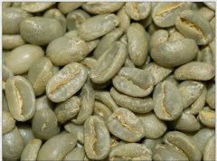 Introduction of Rose Summer Fine Coffee beans unique flavor of Rose Summer Fine Coffee beans