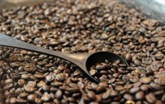 Ethiopian Yega Xuefei Fine Coffee with unique Ethiopian Flavor