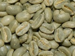 A brief history of the development of Panamanian coffee the mouth of Panamanian boutique coffee estate