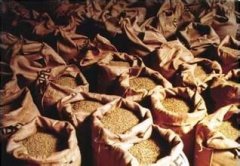 Guatemala boutique coffee bean grade classification Guatemala boutique coffee types Guatemalan essence