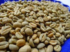 Introduction of Honduran boutique coffee beans the characteristic flavor of Honduran coffee taste of Honduran coffee