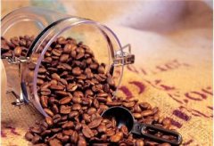 Is the French press suitable for individual coffee or fancy coffee? How to use the French pressure kettle? what is a flower?