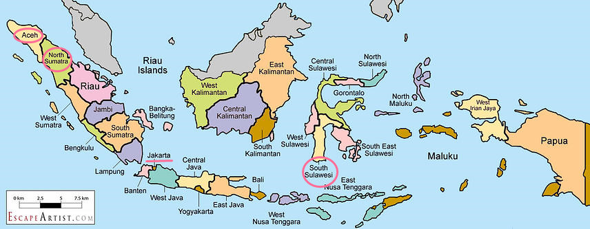 The main coffee producing area in Indonesia-Java Indonesian coffee Java coffee Java mocha