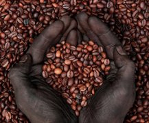 Introduction to boutique coffee beans-- the flavor of Tanzanian coffee the characteristics of Tanzanian coffee