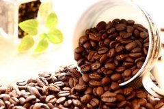 Colombia Fine Coffee Colombia Coffee Flavor Characteristics Colombi