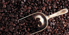 Boutique coffee beans-- Ethiopian boutique coffee introduces the characteristics of Ethiopian coffee