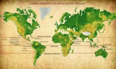 African coffee beans are produced in African coffee producing countries.