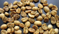 Introduction of Fine Coffee beans-- Manning Coffee production region of Indonesia