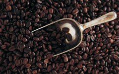 The introduction of American coffee beans, the taste of Hawaiian Kona boutique coffee Kona coffee