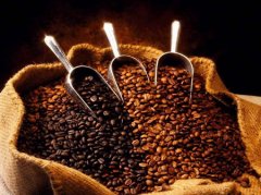 Peruvian Coffee Market Peruvian Coffee Export Peruvian Coffee quality