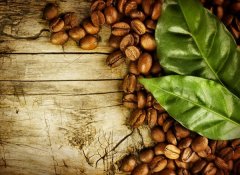 Teach you to identify the types of specialty coffee beans and how to identify the types of coffee? Introduction to the classification of coffee