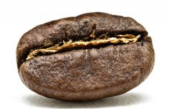 Introduction of Fine Coffee beans Aricha G1 Aricha Fine Coffee Yega Xuefei