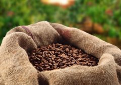 Introduction of Colombian Fine Coffee-- High yield High quality Coffee beans Colombian Coffee cultivation