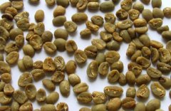 Taste characteristics of Indonesian Java boutique coffee Java coffee unique flavor