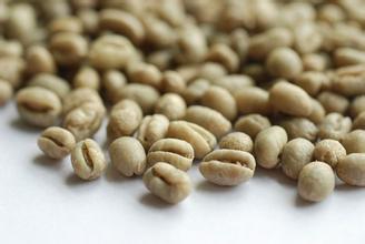 The China Coffee Network recommends the washing treatment of Kaddura and Tibica in the Millennium Manor of Colombian coffee beans.