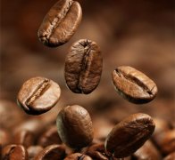 Java Coffee Introduction--Arabica Coffee Java Fine Coffee Bean Java Coffee Unique Flavor
