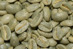 Coffee roasting knowledge of Mantenin coffee beans how long it takes to roast coffee roasting Xinde coffee roasting square