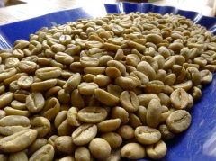 Introduction to the producing area of Essex Sidamo Fine Coffee-- Fine Coffee production in Shaquiso Coffee producing area