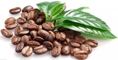 Costa Rican Coffee Introduction Costa Rican Coffee Taste Features Costa Rica