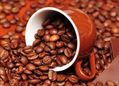 Introduction to boutique coffee-- Arabica coffee bean Arabica coffee bean flavor Arabica