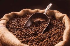 Yemeni mocha Coffee introduces the unique taste of mocha coffee the taste characteristics of mocha coffee