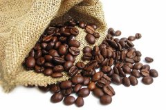 Sumatra Mantelin Coffee Flavor Introduction Mantelin Coffee Flavor Characteristics Mantelin Coffee