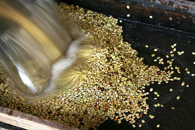 The name of Yejia Shefi and Sidama Ethiopian Coffee The birthplace of Yejia Shefi Kocher