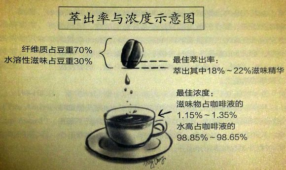 World coffee producer Colombian coffee Colombian coffee culture coffee bean Kaddura Tibika