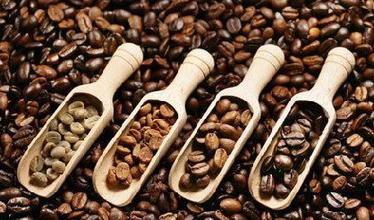 Coffee beans Central American region Honduras Honduras San Juan Theodor No. 1 water wash bourbon mellow